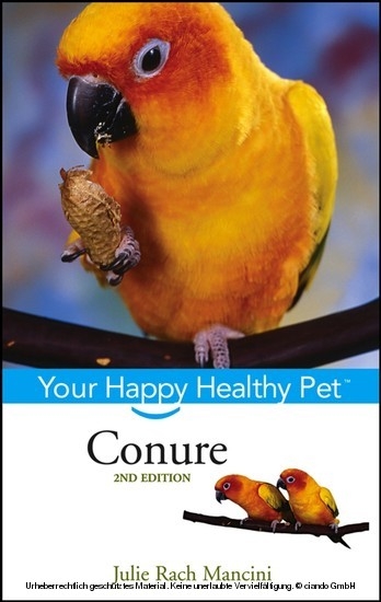 Conure -  Julie Rach Mancini