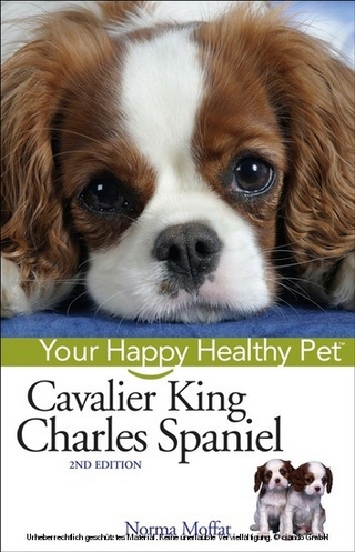 Cavalier King Charles Spaniel