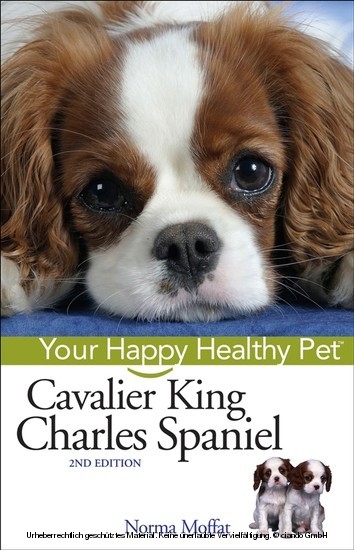 Cavalier King Charles Spaniel -  Norma Moffat