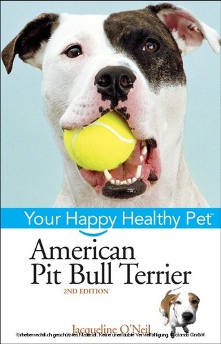 American Pit Bull Terrier