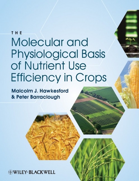 Molecular and Physiological Basis of Nutrient Use Efficiency in Crops -  Peter Barraclough,  Malcolm J. Hawkesford