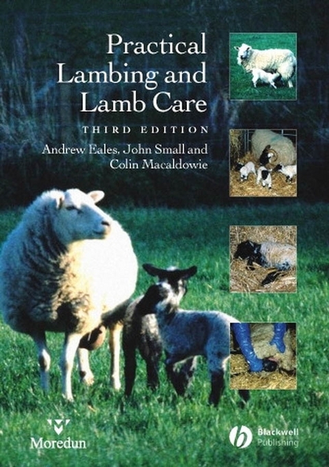 Practical Lambing and Lamb Care - Andrew Eales, John Small, Colin Macaldowie