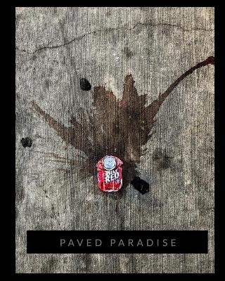 Paved Paradise - Malinda M Julien Cr Photog Cpp