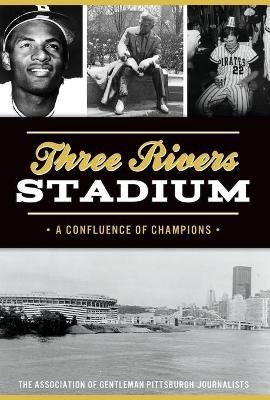 Three Rivers Stadium - David Finoli