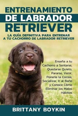 Entrenamiento de Labrador Retriever - Brittany Boykin