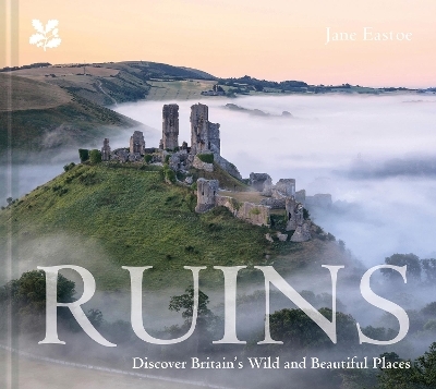 Ruins - Jane Eastoe