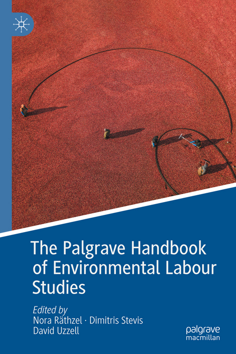 The Palgrave Handbook of Environmental Labour Studies - 