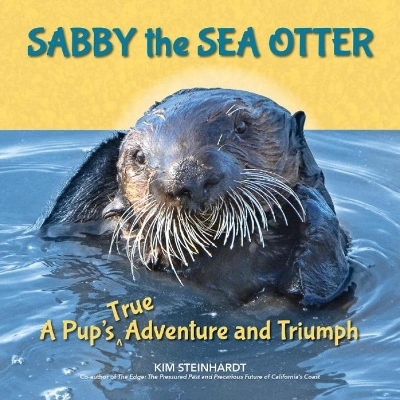 Sabby the Sea Otter - Kim Steinhardt
