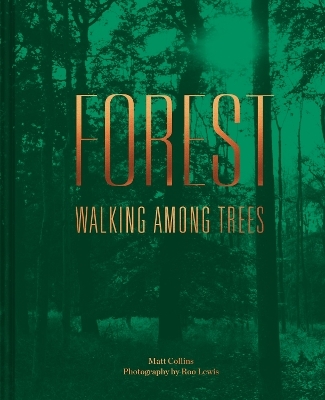 Forest - Matt Collins