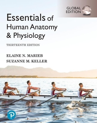Essentials of Human Anatomy & Physiology, Global Edition + Mastering A&P with Pearson eText - Elaine Marieb; Suzanne Keller