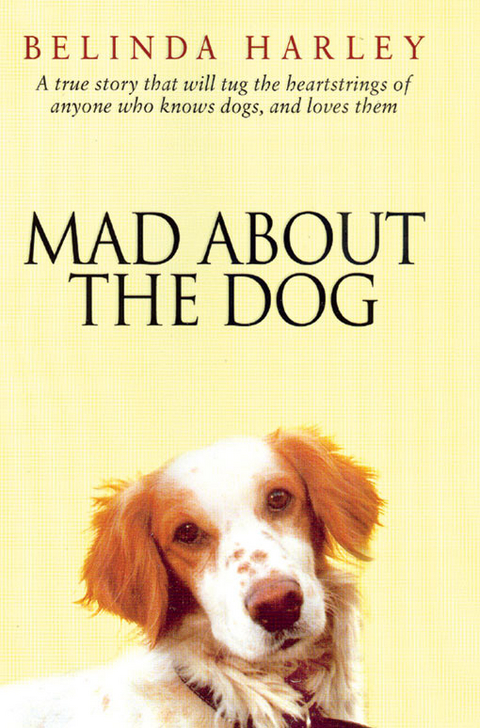 Mad About the Dog -  Harley Belinda Harley