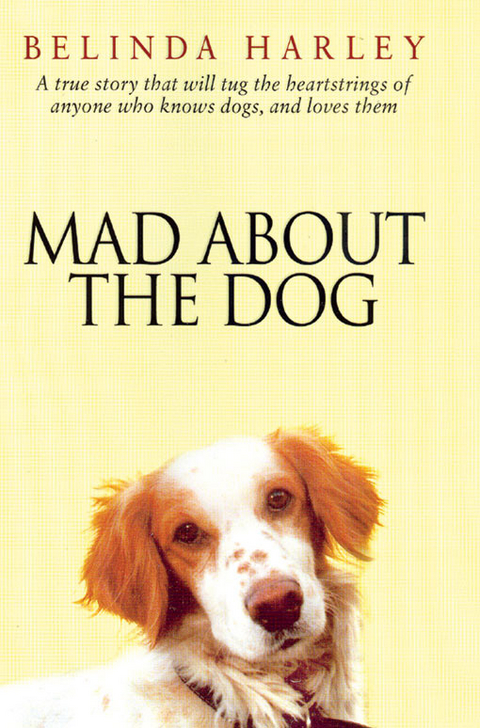 Mad About the Dog - Belinda Harley