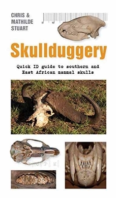 Skullduggery A Quick - Chris Stuart, Mathilde Stuart