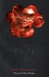 In My Sky at Twilight -  Gaby Morgan