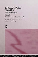 Budgetary Policy Modelling - 