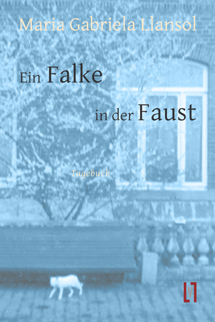 Ein Falke in der Faust - Maria Gabriela Llansol