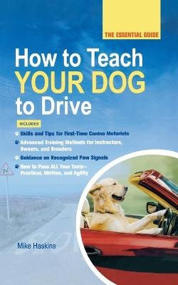 How to Teach Your Dog to Drive