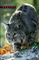 Bobcat