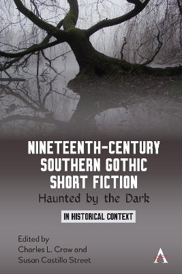 Nineteenth-Century Southern Gothic Short Fiction - 
