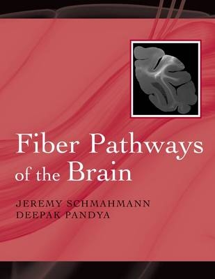 Fiber Pathways of the Brain