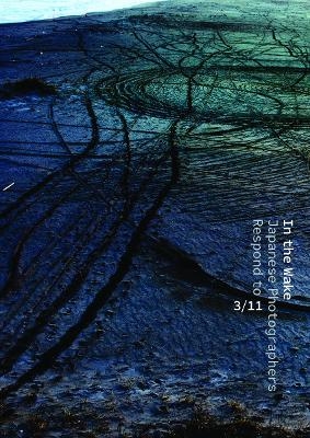 In the Wake - Anne Nishimura Morse, Anne E. Havinga