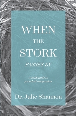 When the Stork Passes By - Julie Shannon
