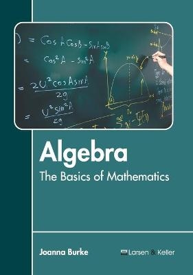 Algebra: The Basics of Mathematics