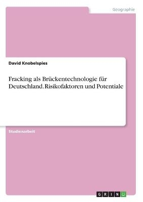 Fracking als Br&Atilde;&frac14;ckentechnologie f&Atilde;&frac14;r Deutschland. Risikofaktoren und Potentiale - David Knobelspies