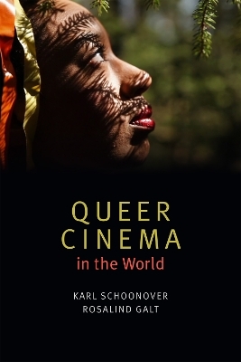 Queer Cinema in the World - Karl Schoonover, Rosalind Galt