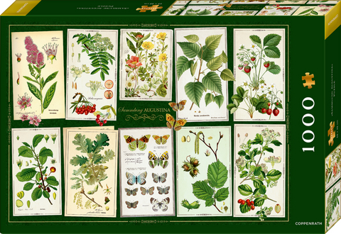 Boxpuzzle Sammlung Augustina (1000 Teile)