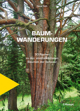 Baumwanderungen - Daniel Roth