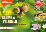 Kleine Waldentdecker: B&auml;ume & Pflanzen - Regina Bestle-K&ouml;rfer