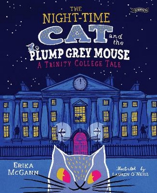 The Night-time Cat and the Plump, Grey Mouse