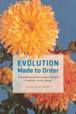 Evolution Made to Order - Helen Anne Curry