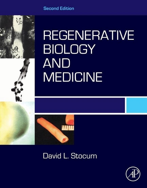 Regenerative Biology and Medicine -  David L. Stocum