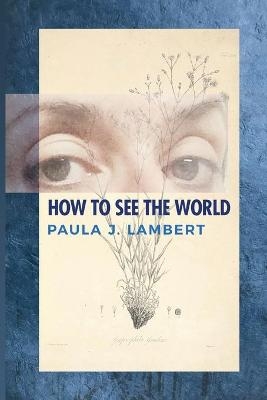 How to See the World - Paula J Lambert