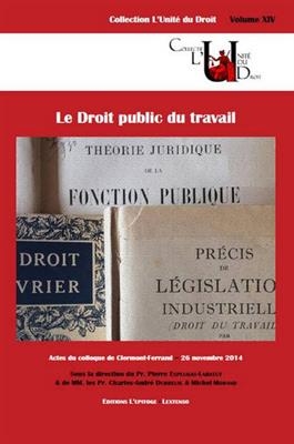 DROIT PUBLIC DU TRAVAIL (LE)