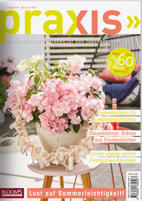 PRAXIS Nr. 99 -  Team PRAXIS