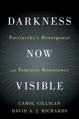Darkness Now Visible - Carol Gilligan, David A. J. Richards