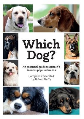 Which Dog - 