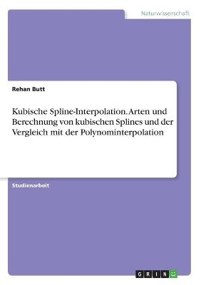 Kubische Spline-Interpolation. Arten und Berechnung von kubischen Splines und der Vergleich mit der Polynominterpolation - Rehan Butt