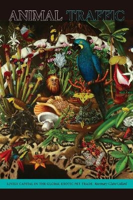 Animal Traffic - Rosemary-Claire Collard