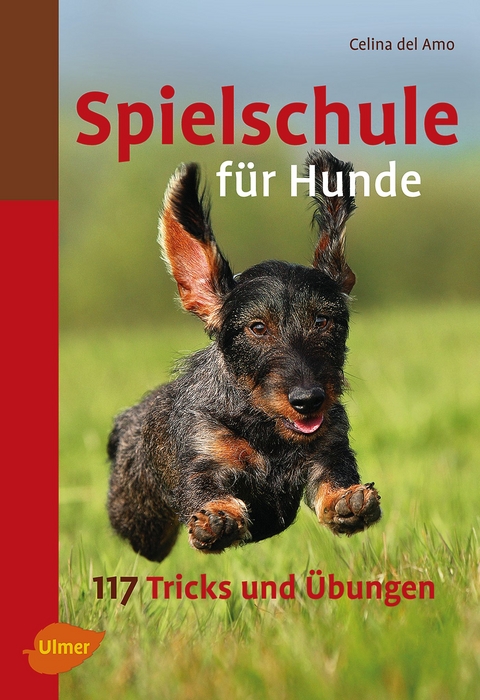 Spielschule f&uuml;r Hunde - Celina del Amo