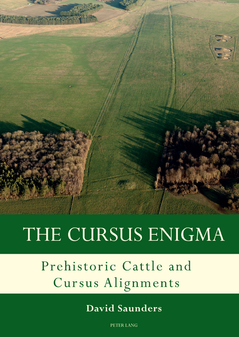 The Cursus Enigma - David Saunders