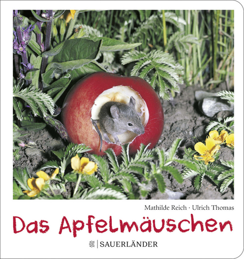 Das Apfelm&auml;uschen (Pappbilderbuch) - Mathilde Reich, Ulrich Thomas