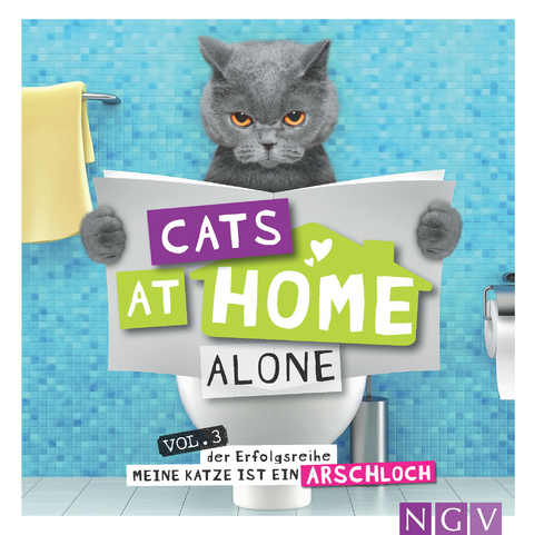 Cats at home alone - Das Geschenkbuch f&uuml;r Katzenliebhaber - Klaus Bunte