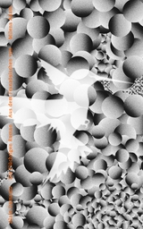 Die Fl&uuml;chtigen - Alain Damasio