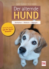 Der alternde Hund - Sophie Strodtbeck, Bernd Schröder
