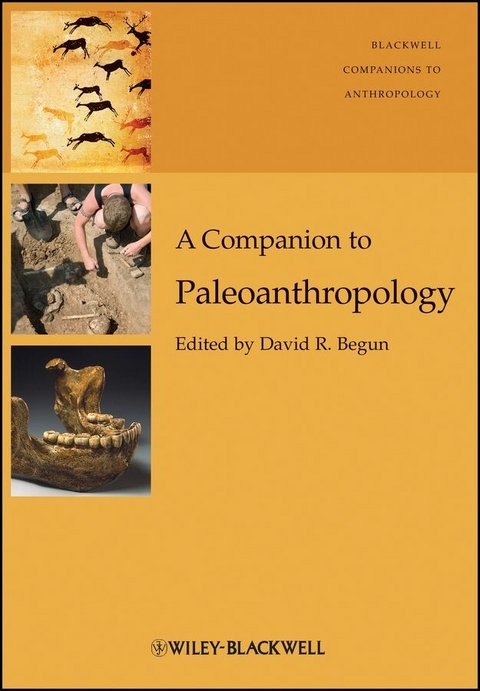 A Companion to Paleoanthropology - 