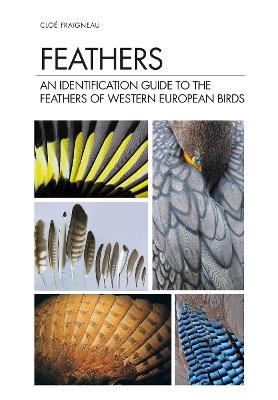 Feathers - Clo&eacute; Fraigneau